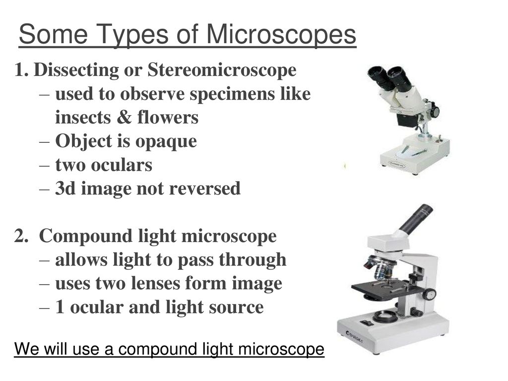 Microscope Basics Ppt Download