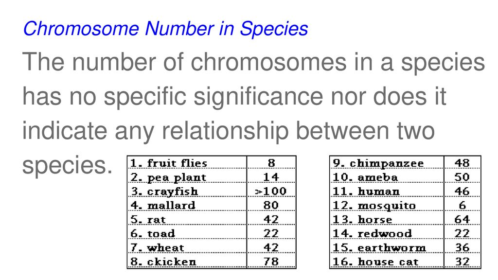 Chromosome Number in Species - ppt download