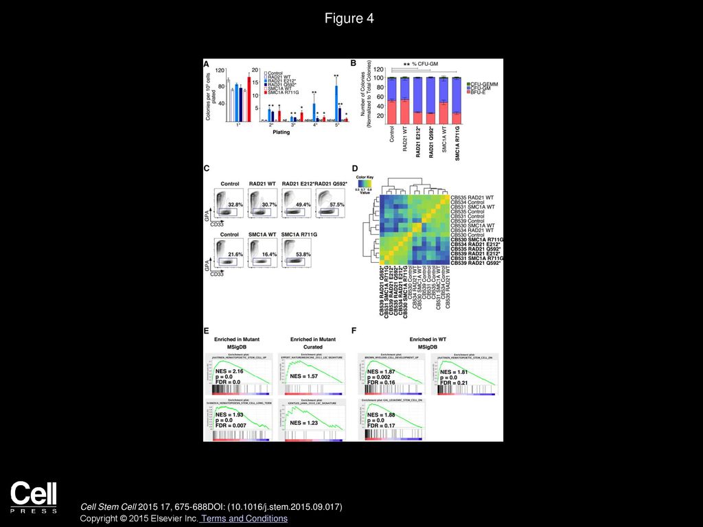 Volume 17 issue 6 pages december 2015 ppt download