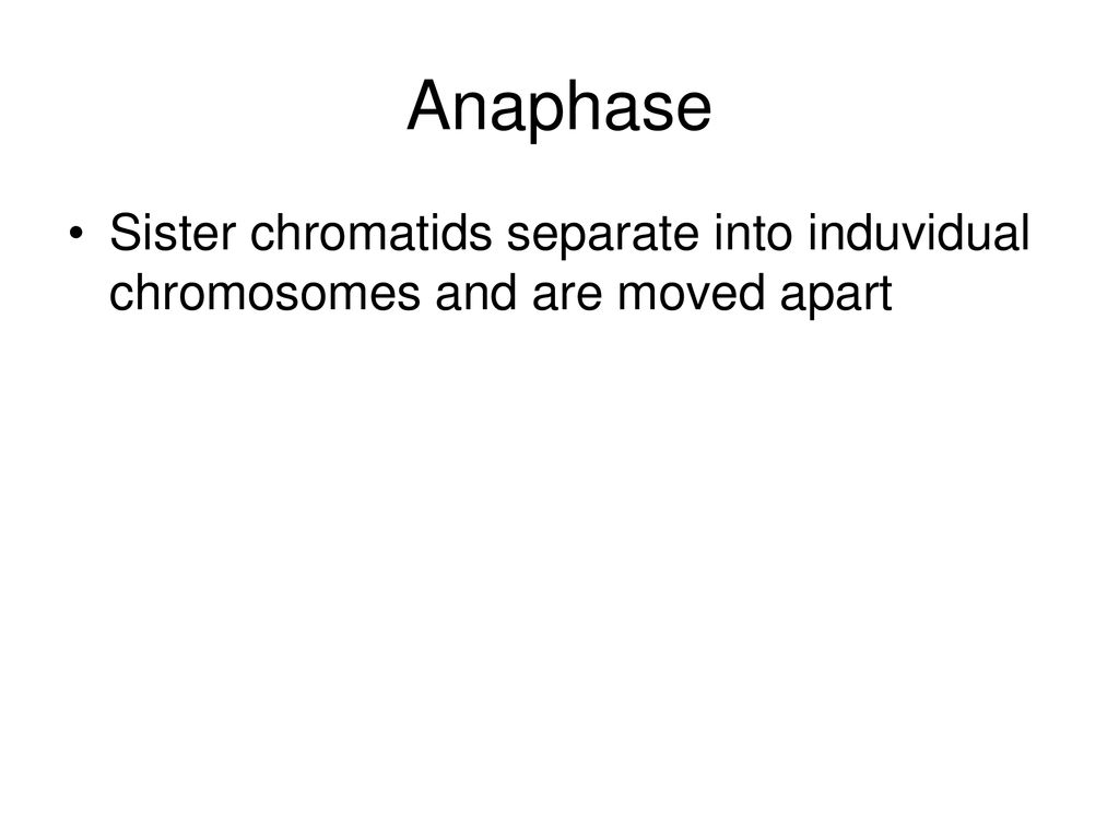 Carly Grace Kellen Emma Biology Diagrams