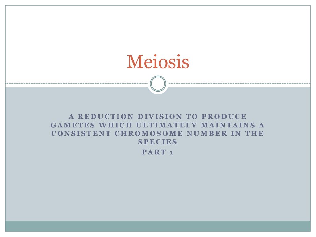 Meiosis A Reduction Division to Produce Gametes Which Ultimately ... Biology Diagrams