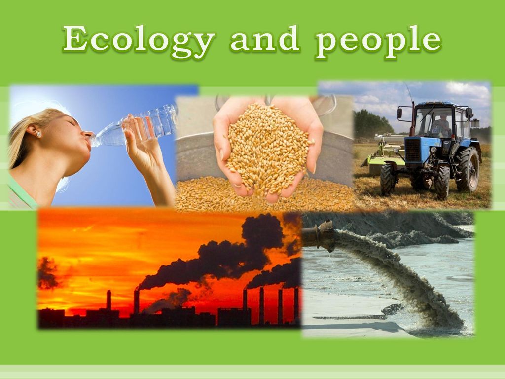 Ecology and people