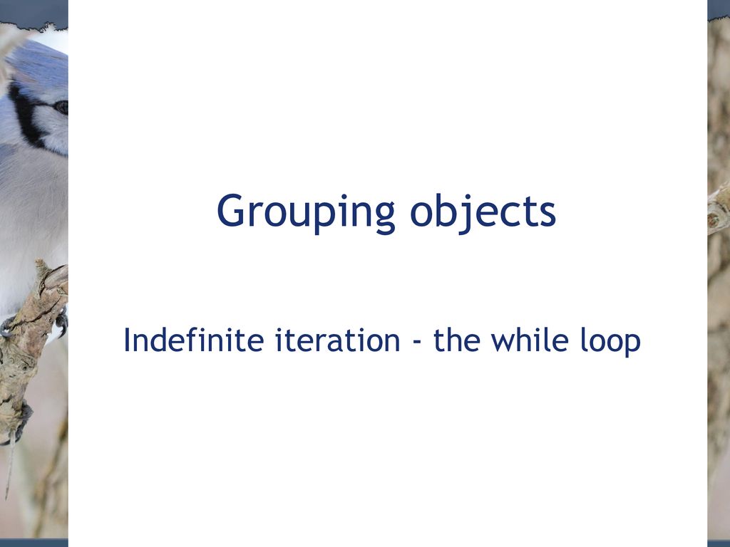 Objects First with Java Indefinite iteration - the while loop