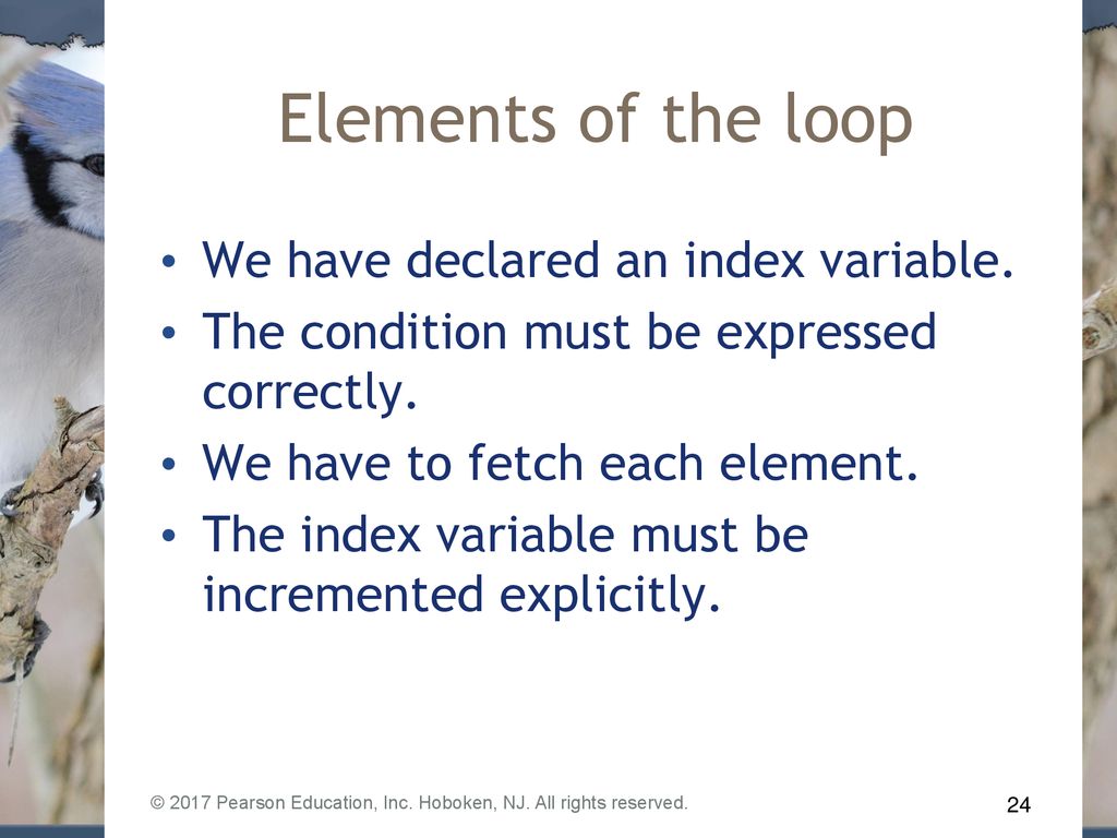 Elements of the loop We have declared an index variable.