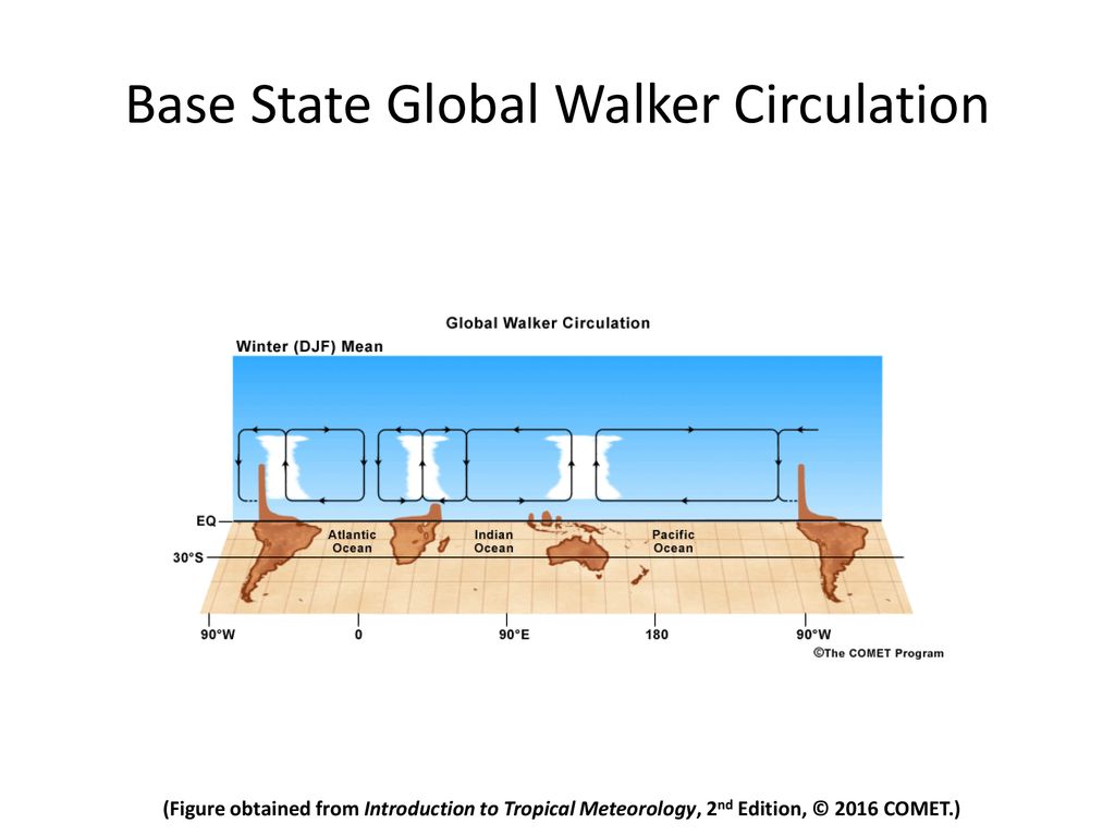 Walker Circulation. - ppt download