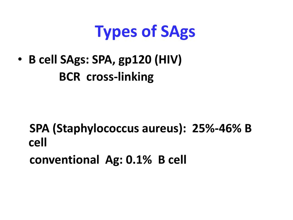 Types of SAgs B cell SAgs: SPA, gp120 (HIV) BCR cross-linking