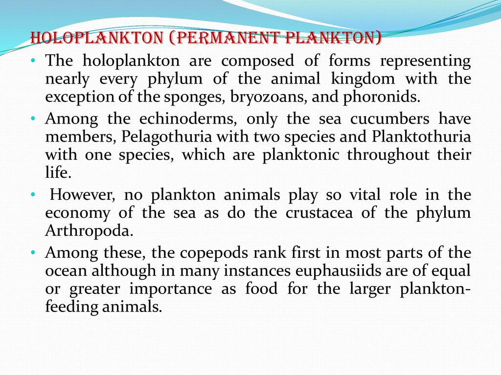 PLANKTON. - Ppt Download