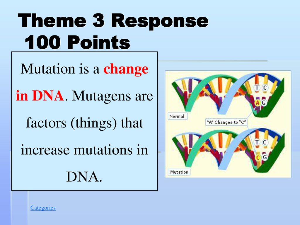 Theme 3 Response 100 Points Mutation is a change in DNA.