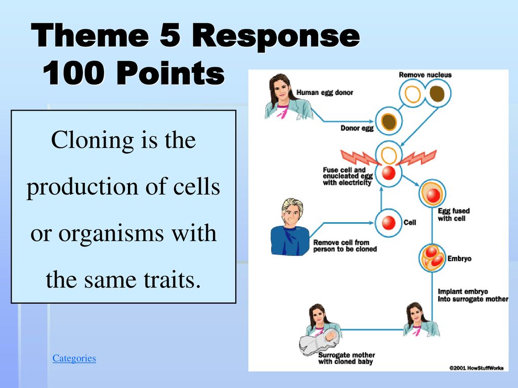 Cloning is the production of cells or organisms with the same traits.