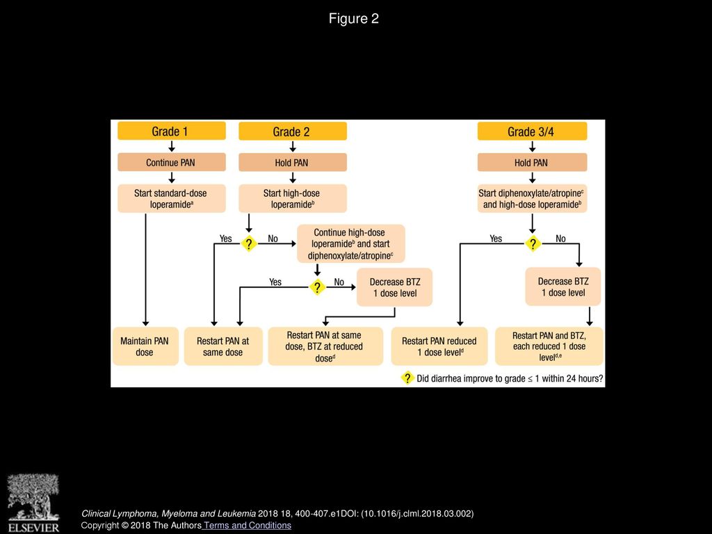 An expanded treatment protocol of panobinostat plus bortezomib and