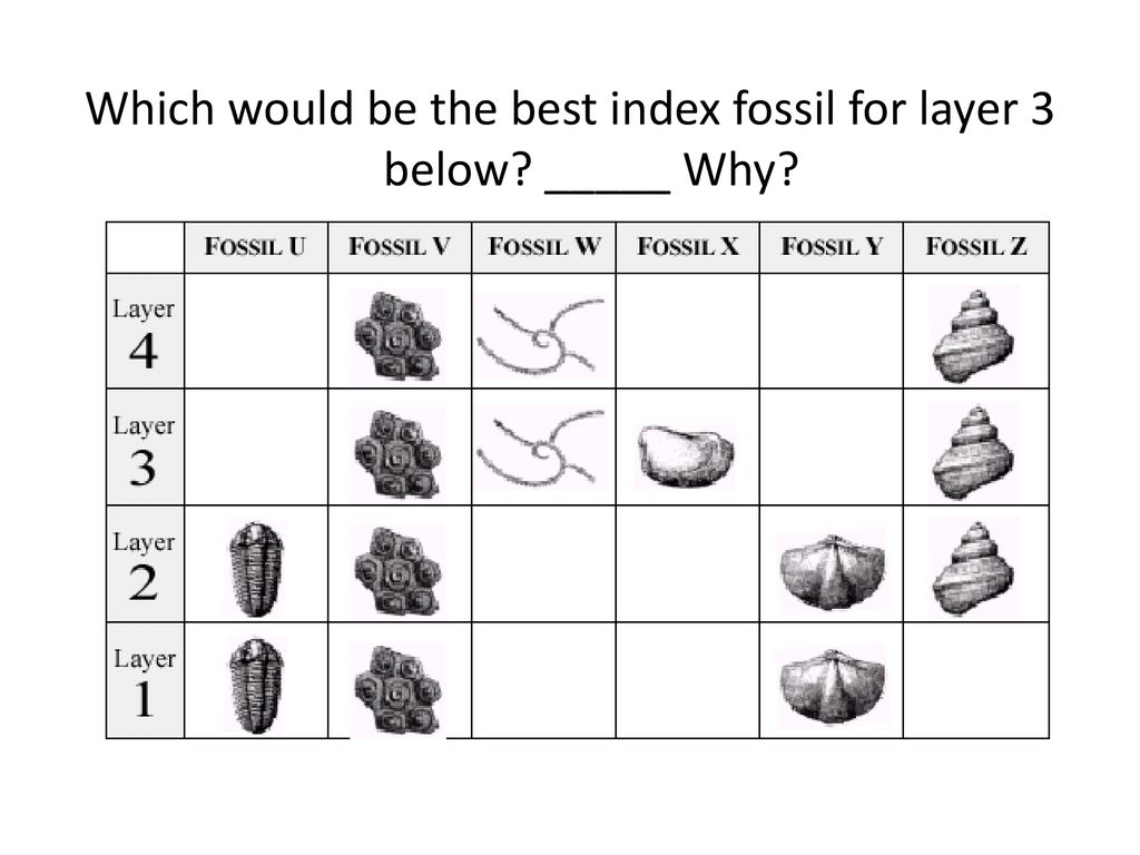 Are fossils the index best fossil