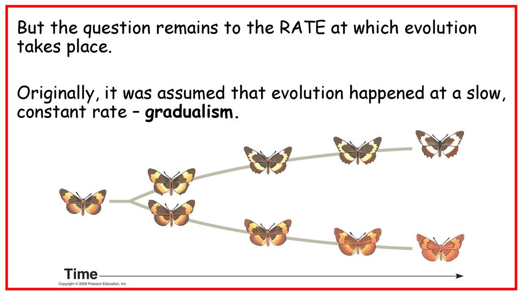 But the question remains to the RATE at which evolution takes place.