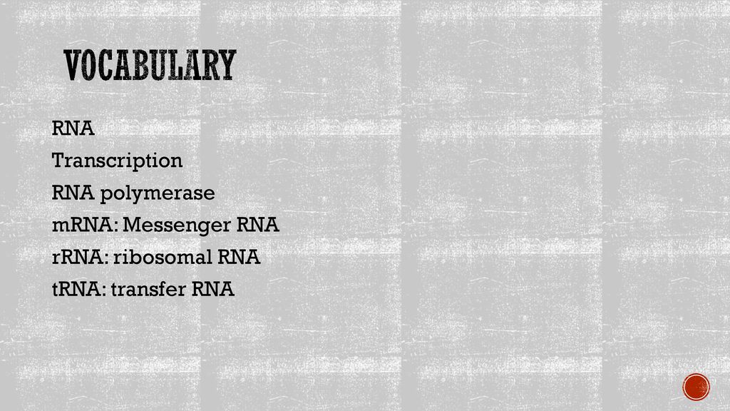 VOCABULARY RNA Transcription RNA polymerase mRNA: Messenger RNA rRNA: ribosomal RNA tRNA: transfer RNA