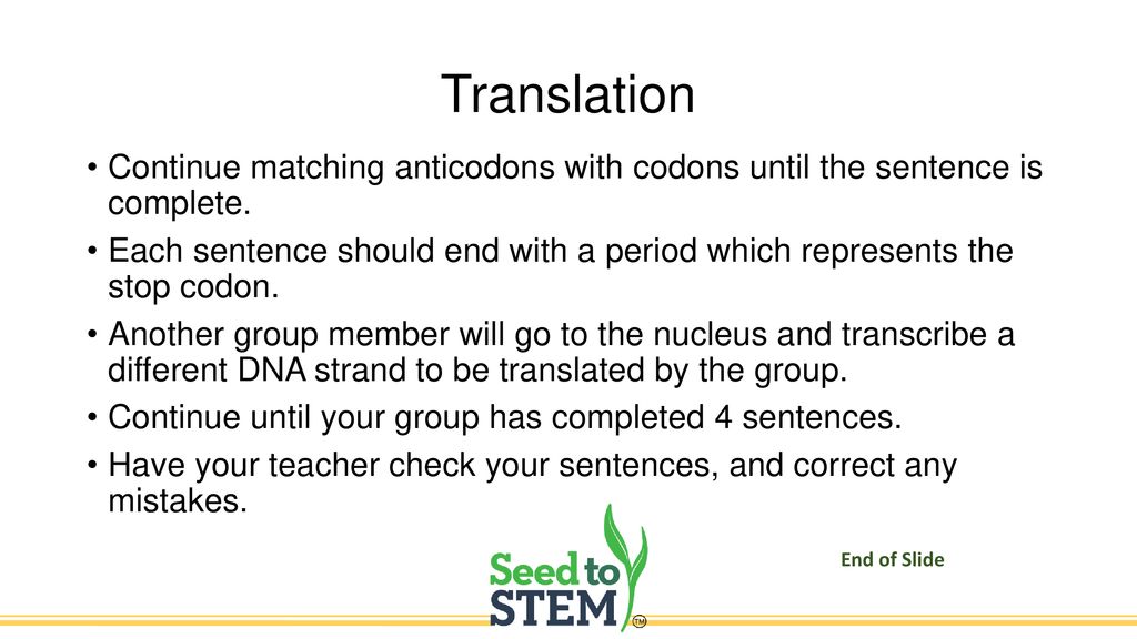 Modeling protein synthesis ppt download