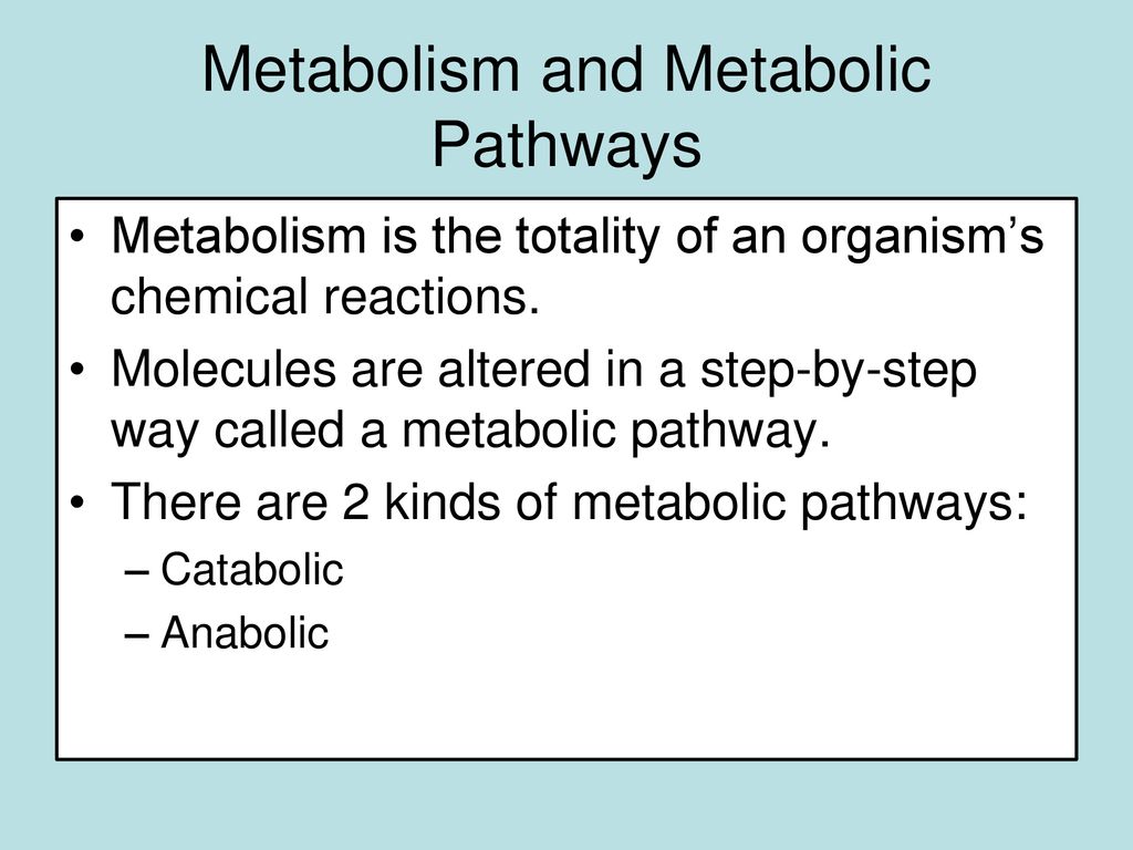 Chapter 6: Metabolism AP Biology Fall ppt download