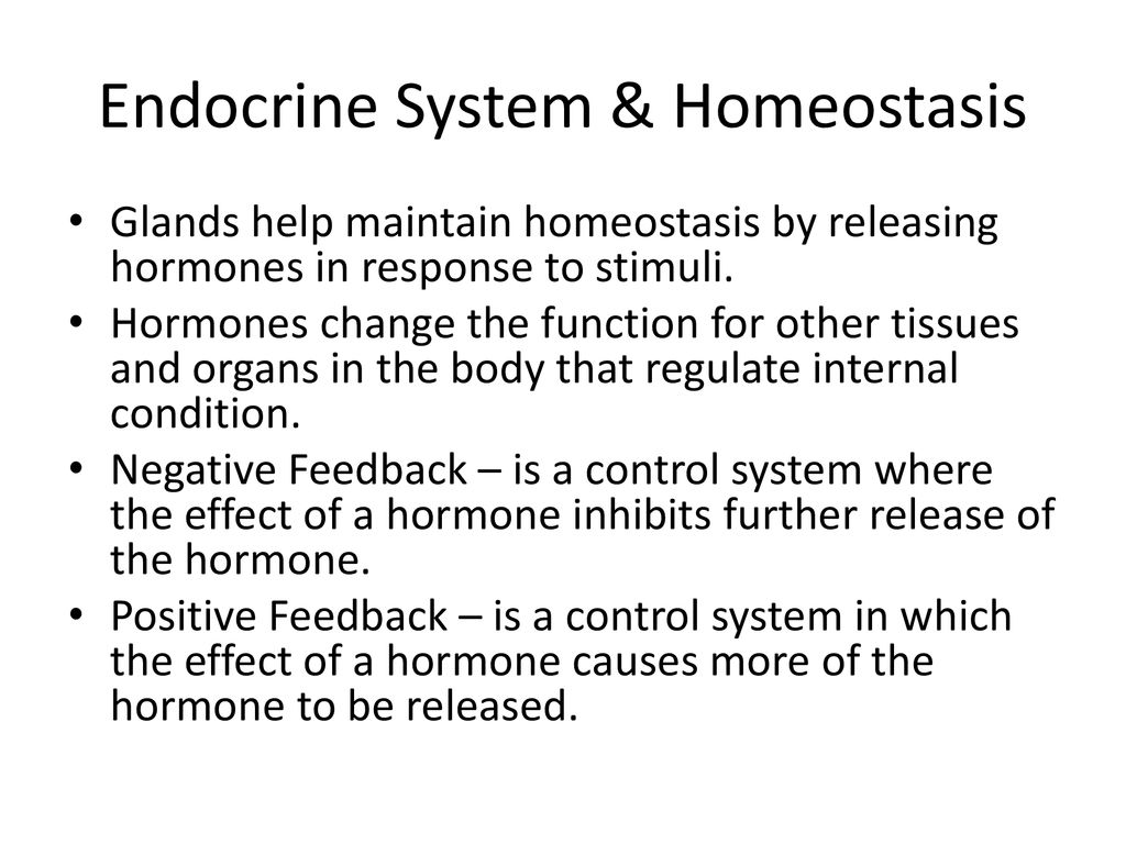 Endocrine System Ch. 18 Sect 3 - ppt download