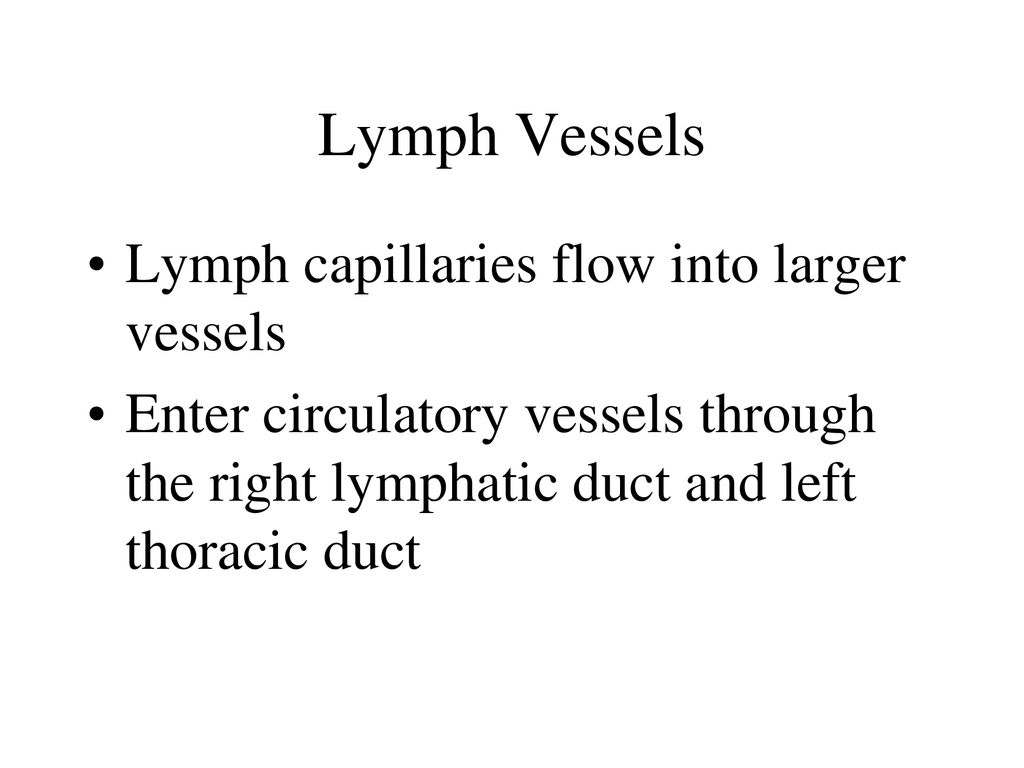 Lymphatic & Immune Systems - ppt download