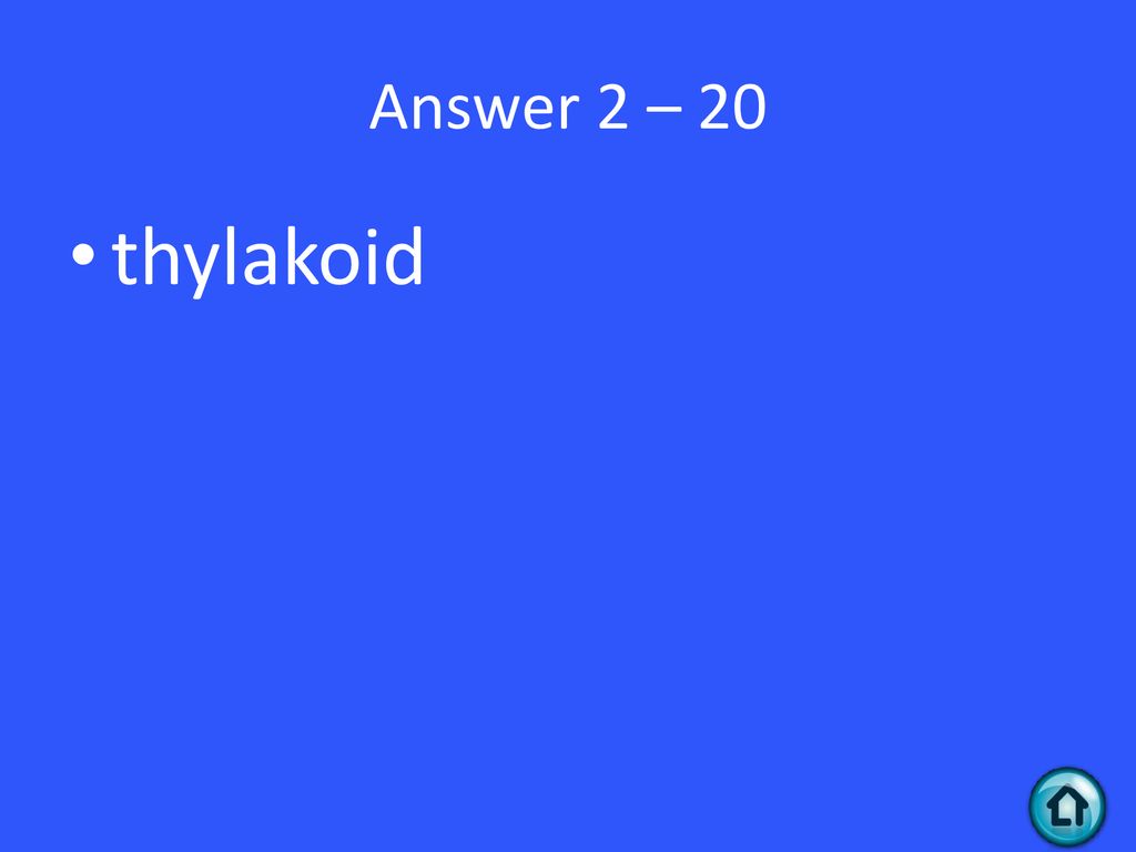 Answer 2 – 20 thylakoid
