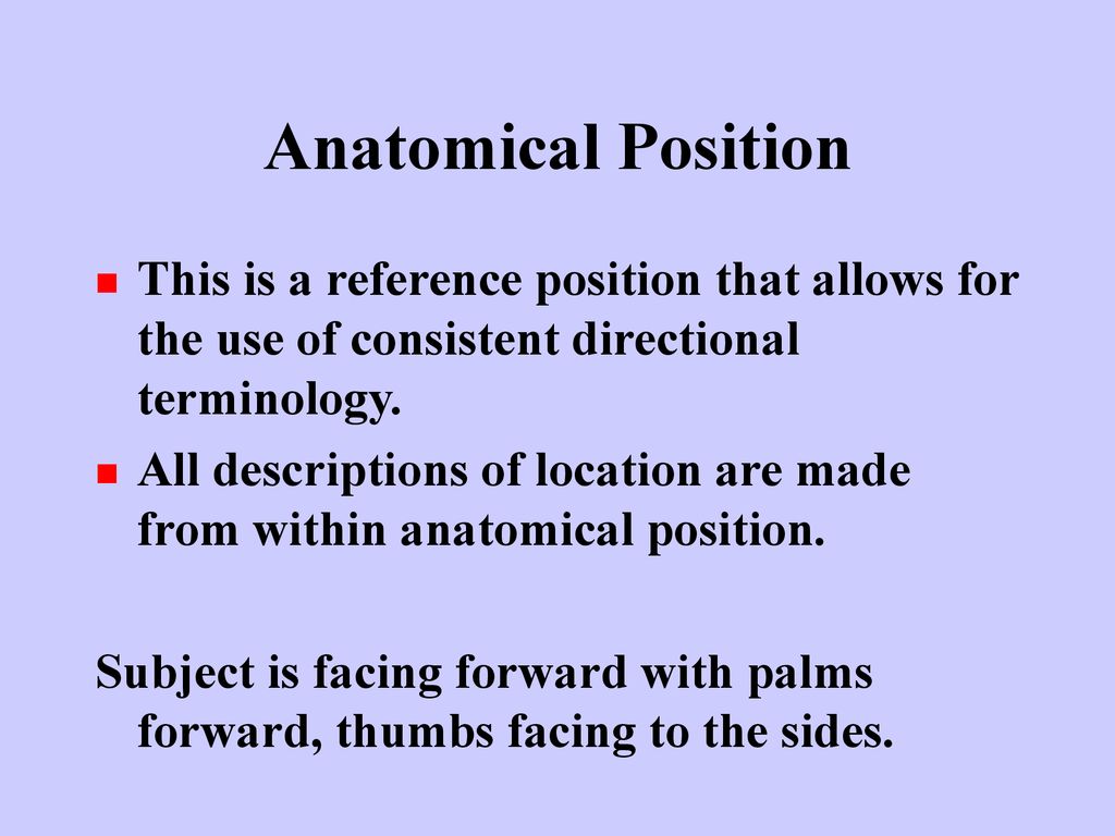 Introduction to Human Anatomy Biology Diagrams