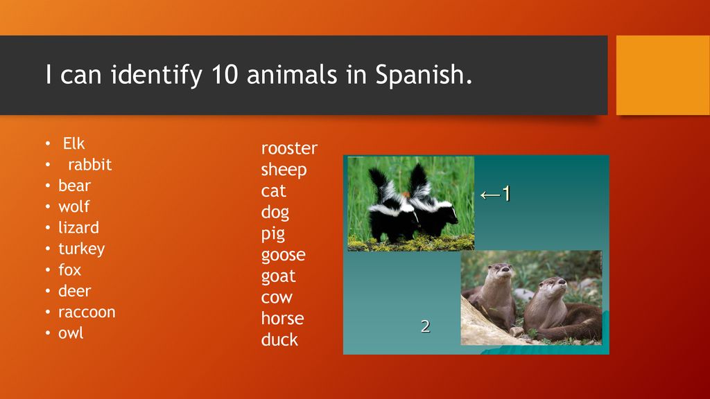 I Can Demonstrate How To Conjugate Ar Verbs In Spanish Ppt Download i-can-demonstrate-how-to-conjugate-ar-verbs-in-spanish-ppt-download