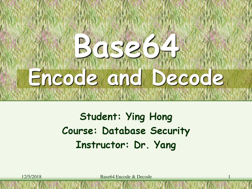 Student ying hong course database security instructor dr yang ppt