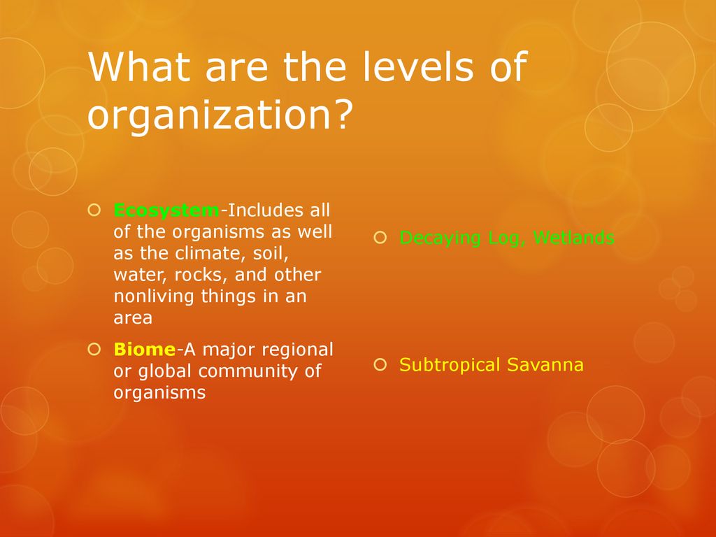 Introduction And Biodiversity Ppt Download introduction-and-biodiversity-ppt-download