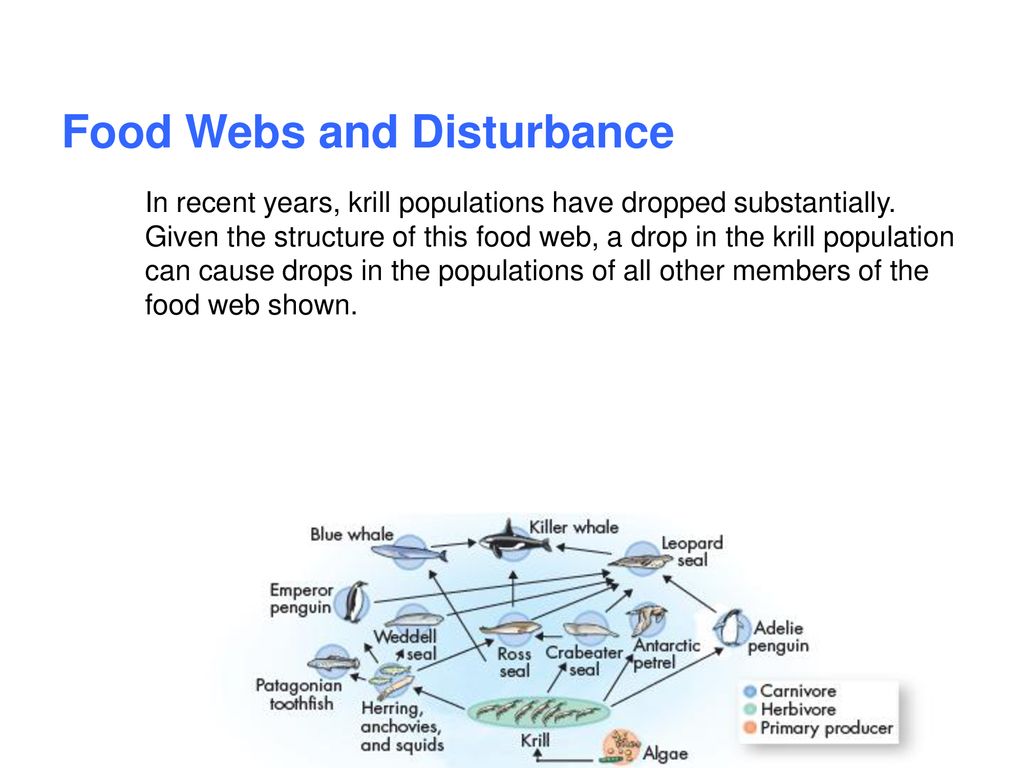 3.3 Energy Flow in Ecosystems Biology Diagrams