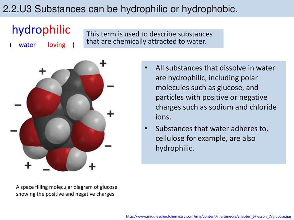 2.2.U3 Substances can be hydrophilic or hydrophobic.