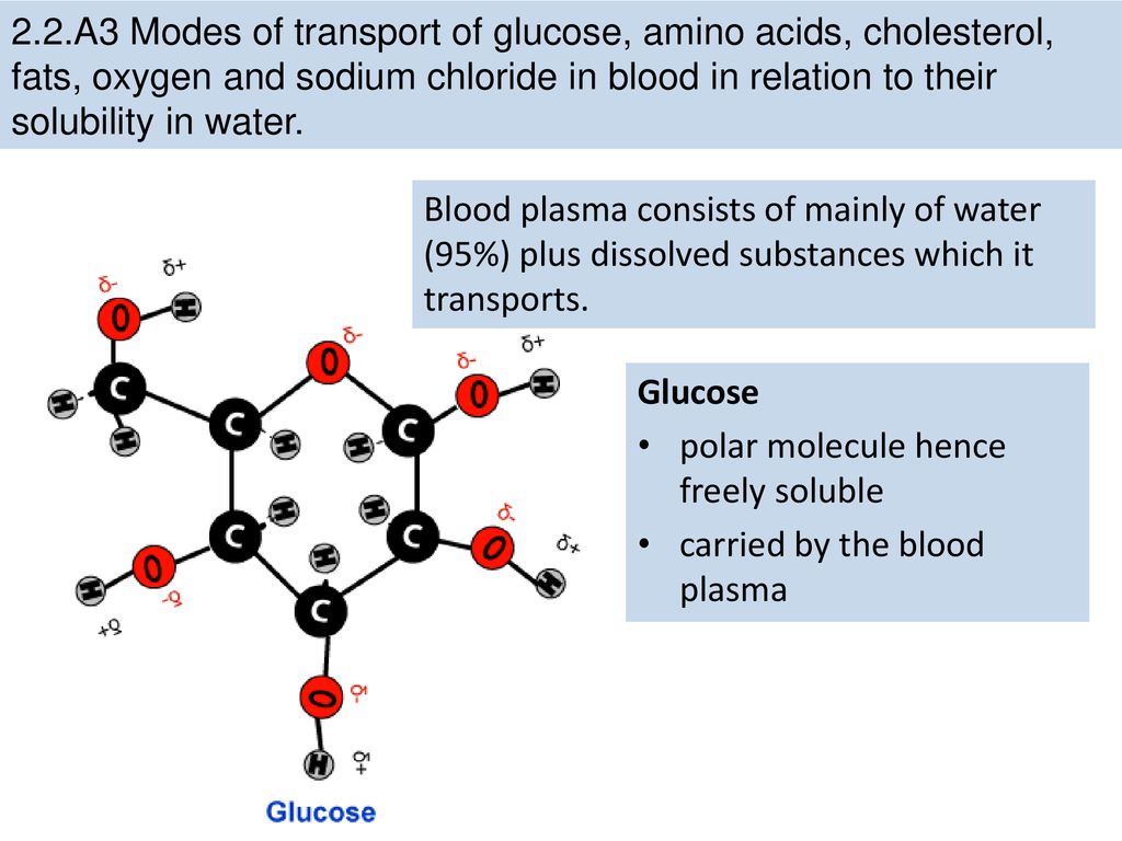2.2.A3 Modes of transport of glucose, amino acids, cholesterol, fats, oxygen and sodium chloride in blood in relation to their solubility in water.