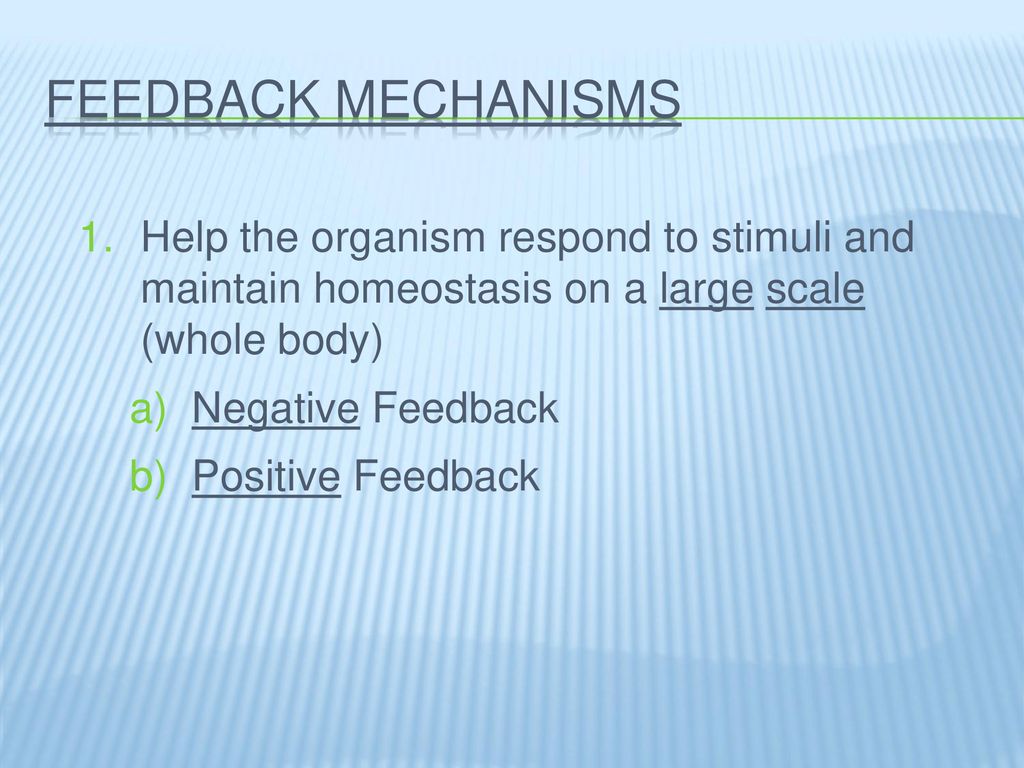 Homeostasis. - ppt download