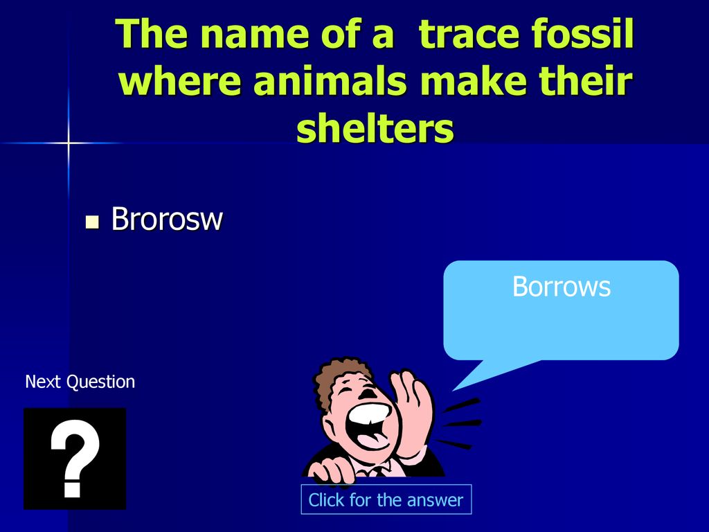 Oedjlwmrub WORD JUMBLE T-Cap Rock and Fossil Review. - ppt download