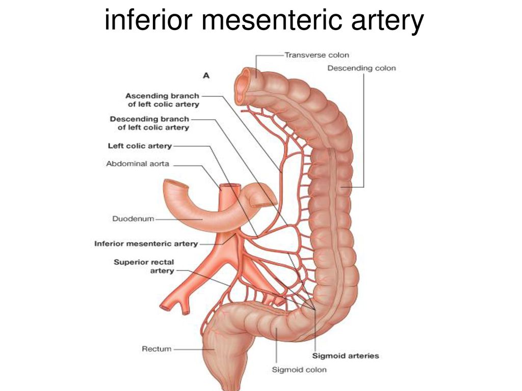 Inferiorlittlewhore