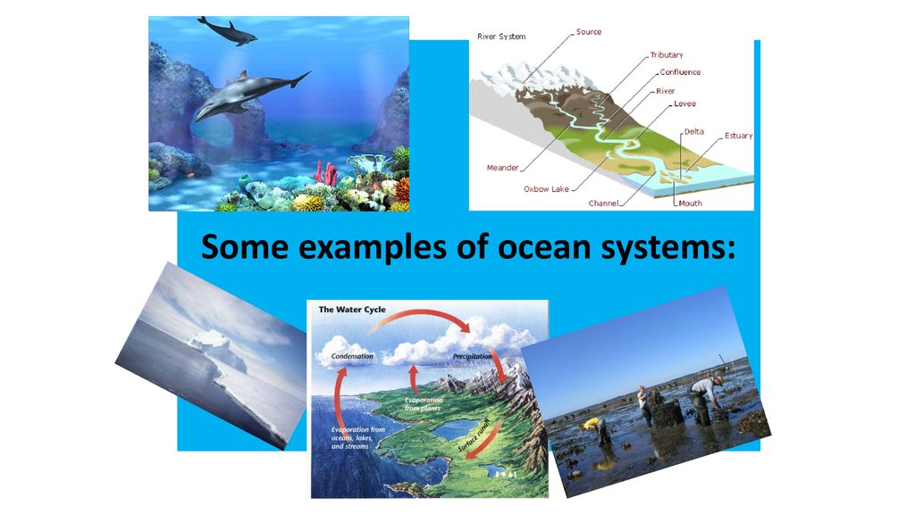 8. 11(D) recognize human dependence on ocean systems and explain how ...