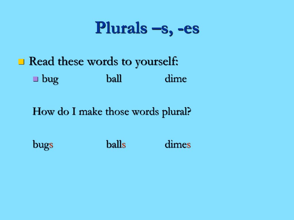 Plurals –s, -es Read these words to yourself: bug ball dime