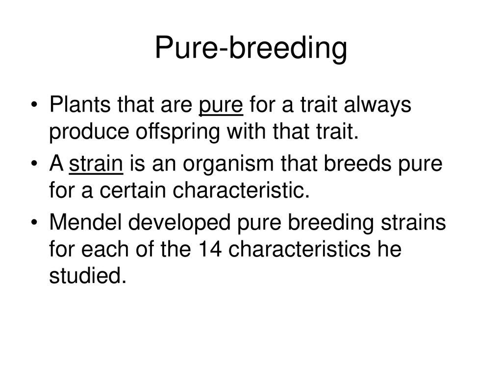 Chapter 9 Fundamental Genetics Ppt Download chapter-9-fundamental-genetics-ppt-download