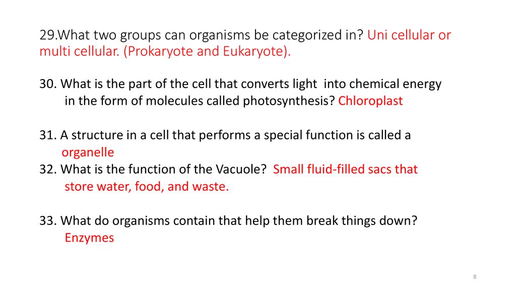 29. What two groups can organisms be categorized in