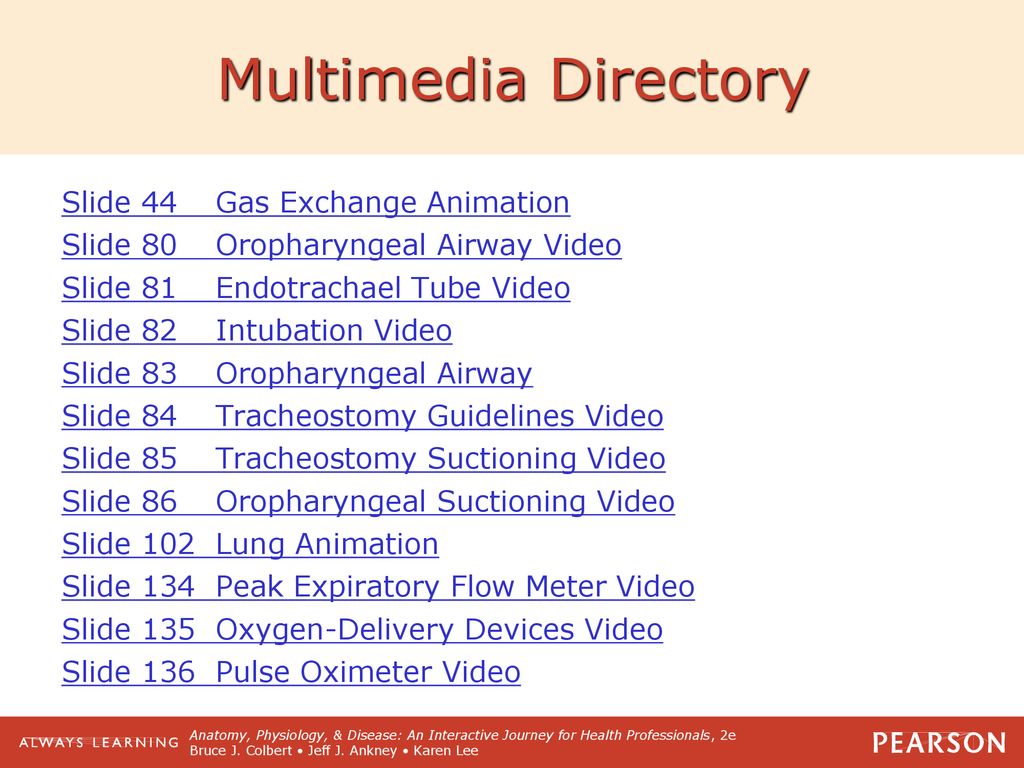 13 The Respiratory System: It's a Gas. - ppt download