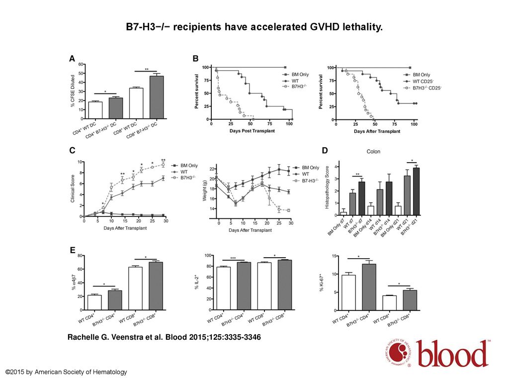 B7-H3−/− recipients have accelerated GVHD lethality.