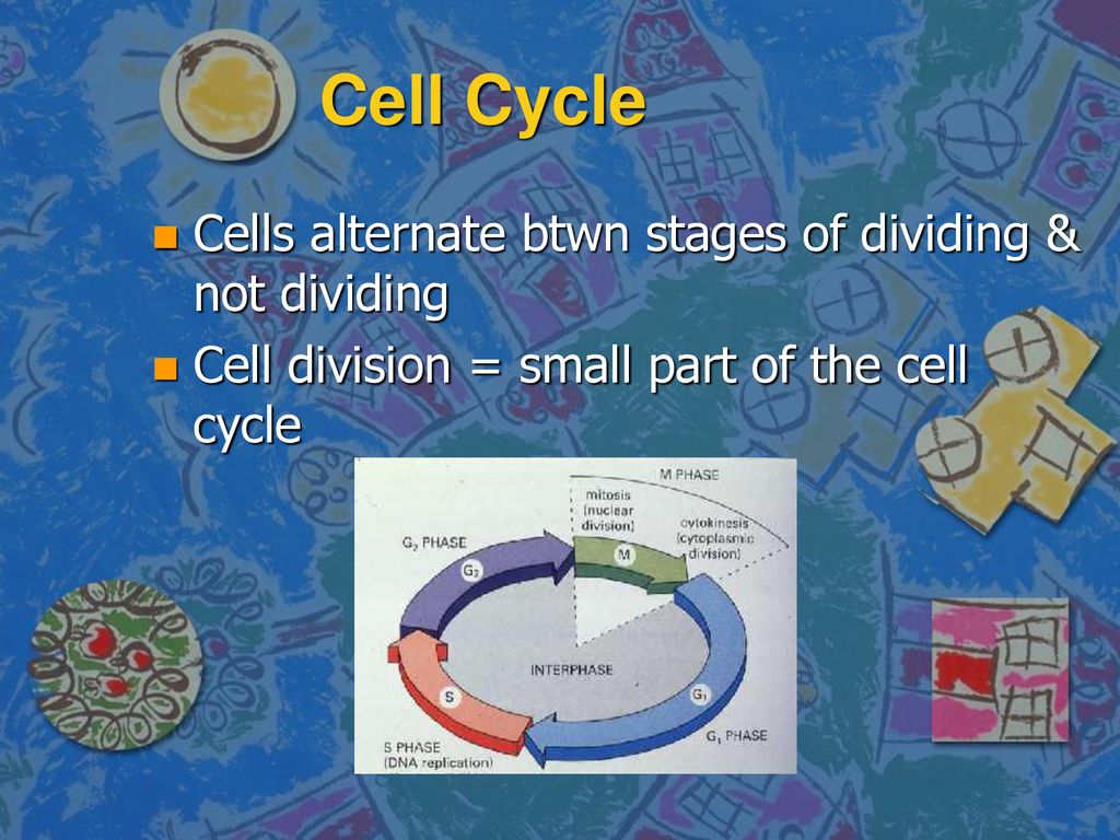 ppt download Biology Diagrams