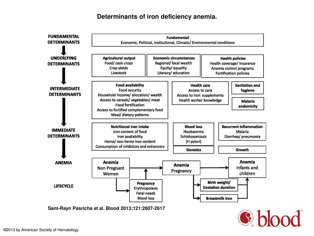 control-of-iron-deficiency-anemia-in-low-and-middle-income-countries