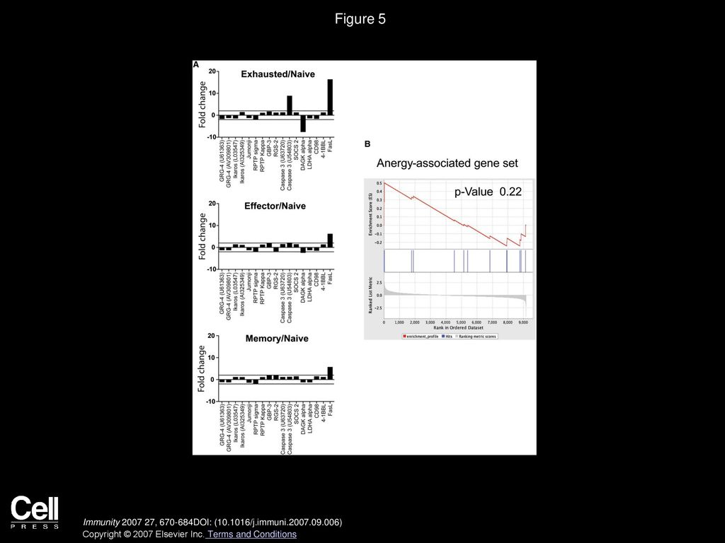 Figure 5 Gene-Expression Profiles of Exhaustion Are Distinct from Anergy.