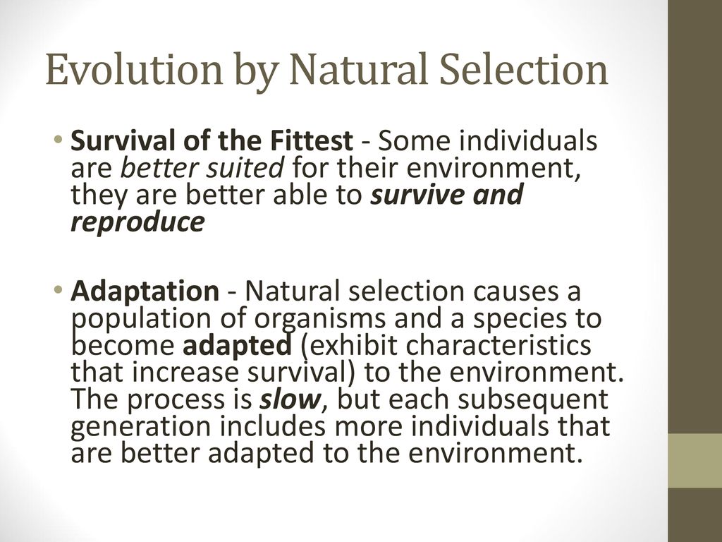 Reconstructed Skeleton - ppt download