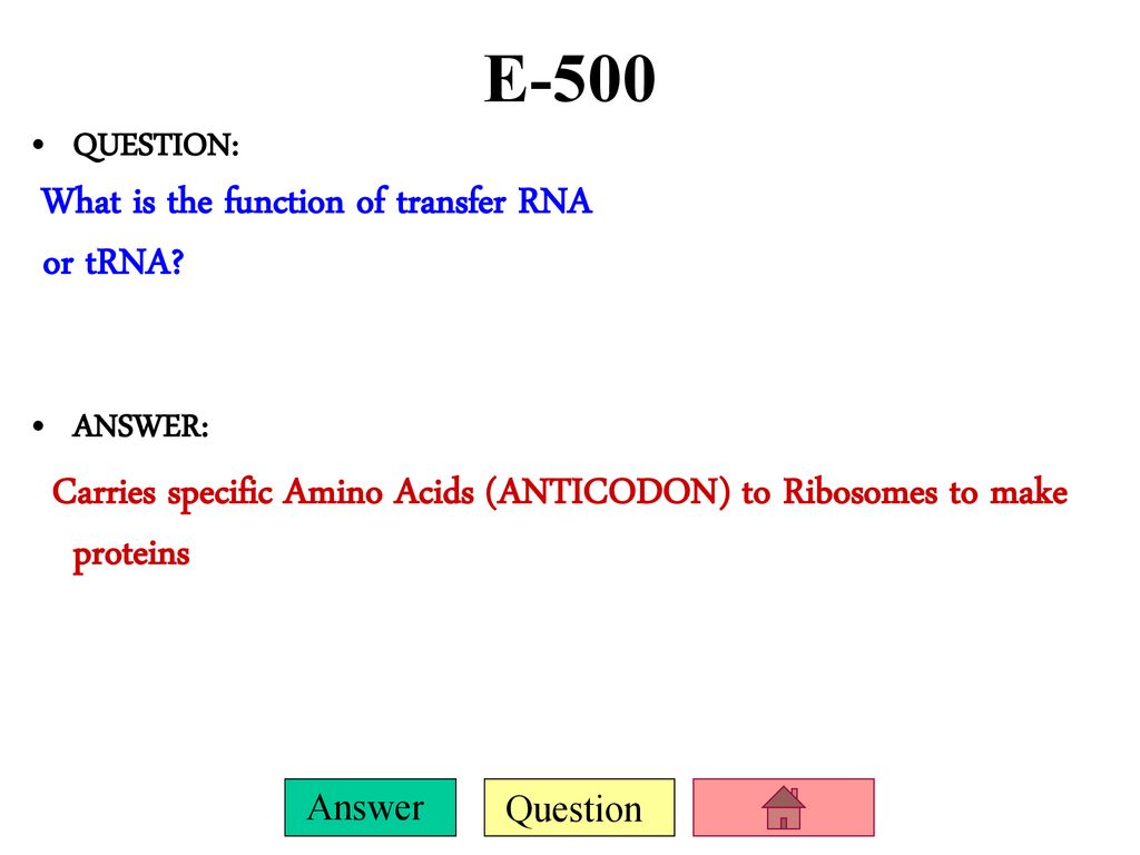 E-500 or tRNA QUESTION: What is the function of transfer RNA ANSWER: