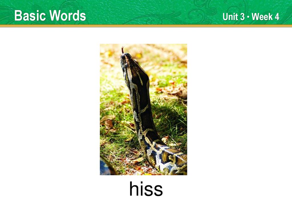 selfish Key Words Unit 3 Week 4 TEACHER TALK ppt download