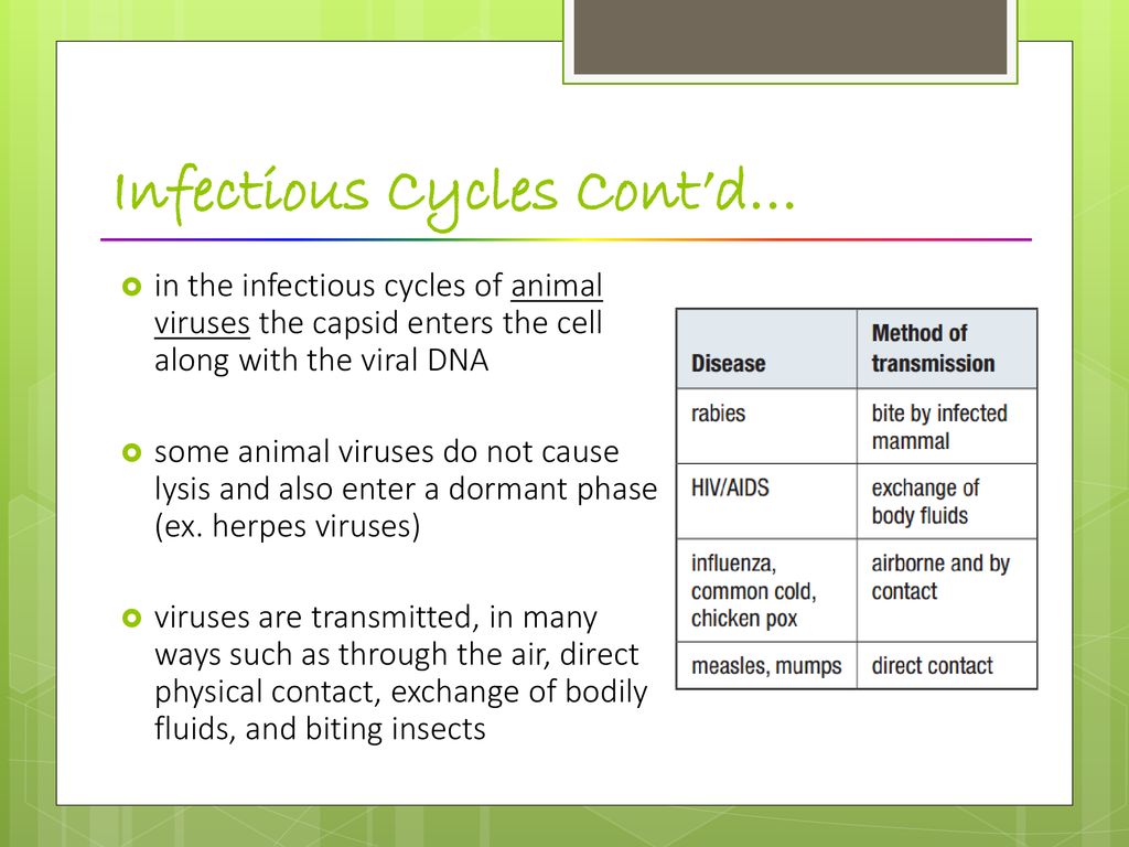 Infectious Cycles Cont’d…