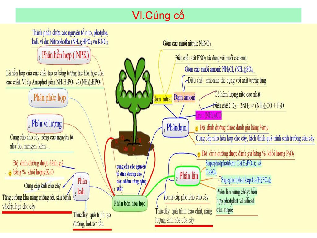 Tiết 18 : PHÂN BÓN HÓA HỌC UBND TỈNH ĐIỆN BIÊN SỞ GIÁO DỤC VÀ ĐÀO ...