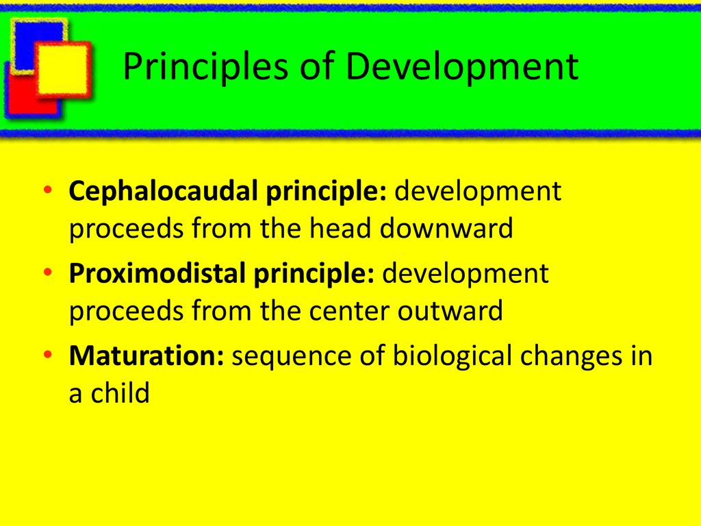 what is the proximodistal principle