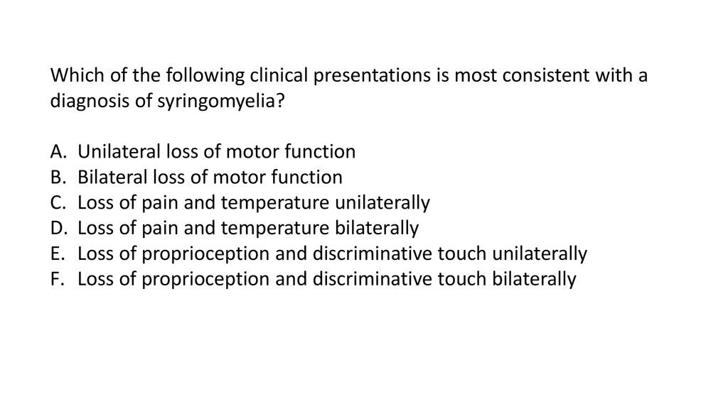 Second Year Mbchb Neuroscience Revision Ppt Download
