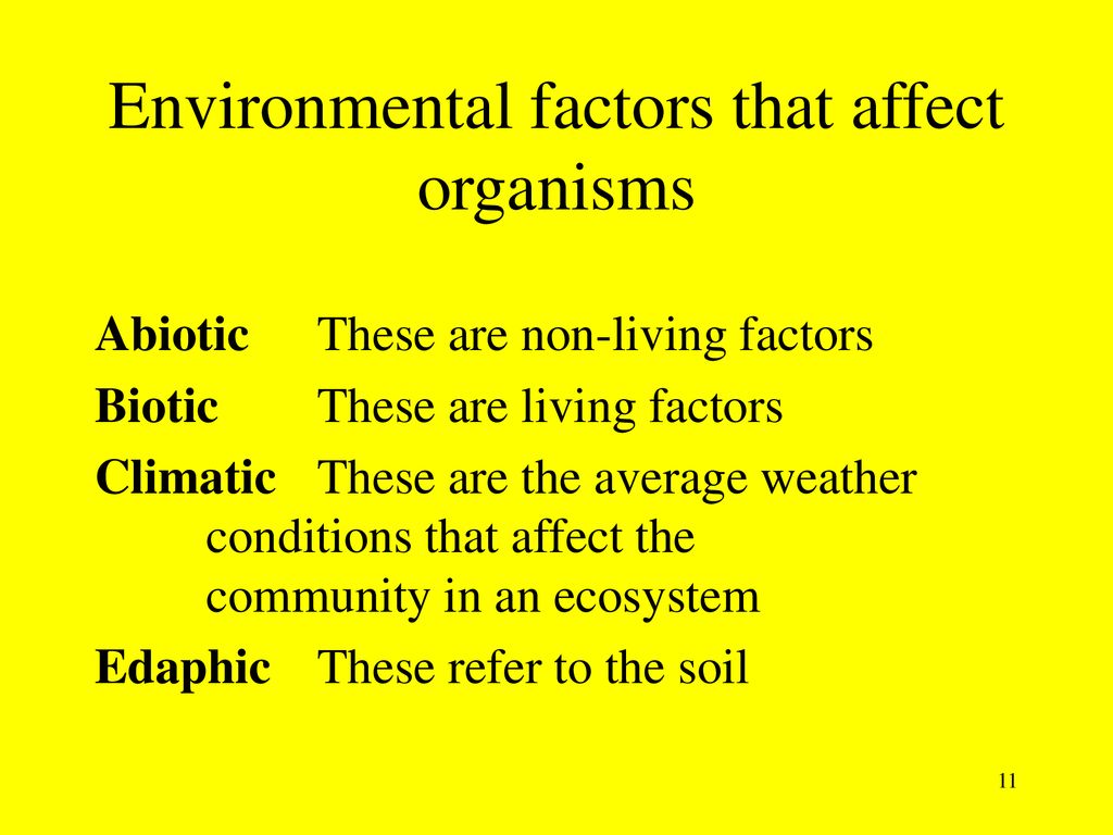 What is Ecology? Ecology is the study of how living things relate to ...