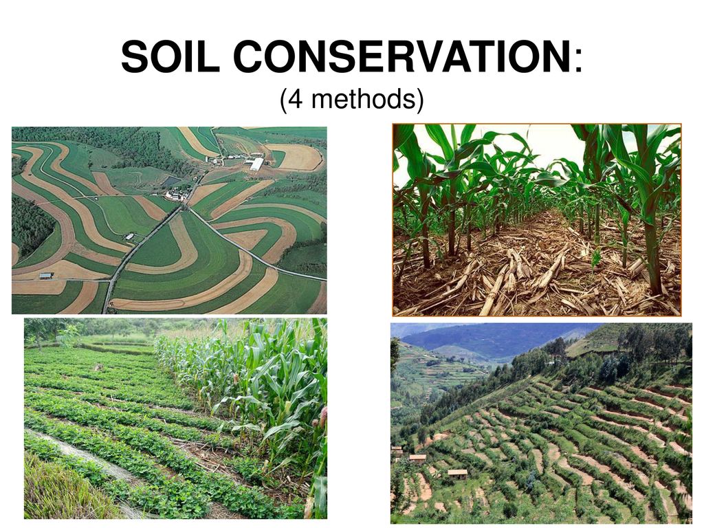 soil-a-valuable-natural-resource-ppt-download